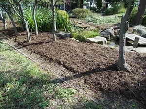 DSCN0115.JPG