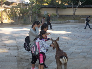 鹿に餌やり.JPG