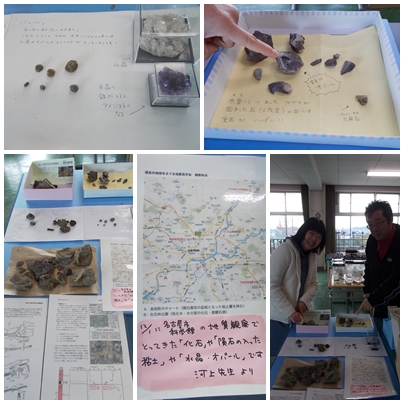 化石の展示.jpg
