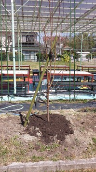 20140322_105627.jpg