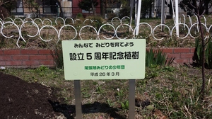 20140322_105726.jpg