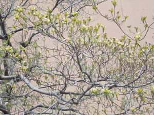 DSCN5248.JPG