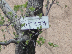 DSCN5249.JPG