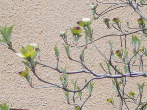 DSCN5250.JPG