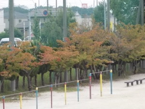 DSCN8280.JPG