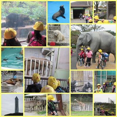 動物園④.jpg