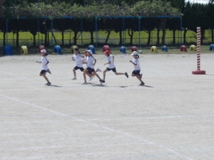 DSCN8552.JPG