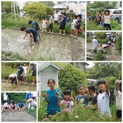 ２７田植え②.jpg