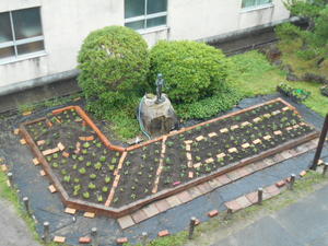 DSCN0558.JPG