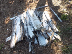 DSCN6093.JPG