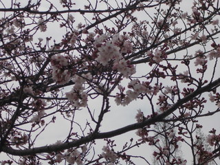 DSCN6719.JPG