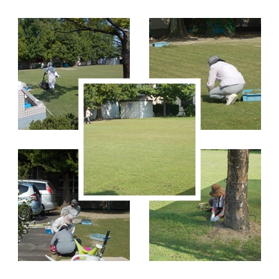 芝ボラ８月.jpg