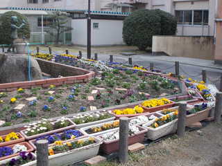 DSCN3396.JPG