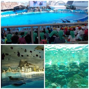 社会見学で名古屋港水族館に行ってきました