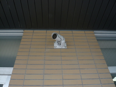 P1010974.JPG