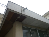 P1010975.JPG