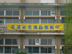 P1020293.JPG