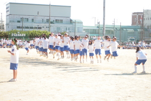 IMG_5290.JPG