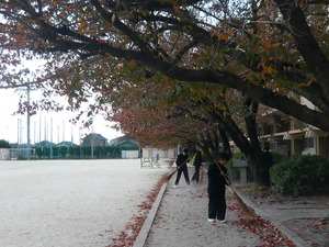 P1030021.JPG