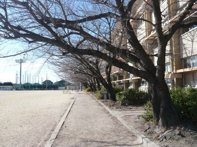 P1030395.JPG