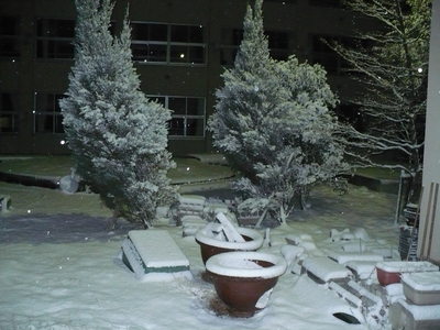 P1010449.JPG