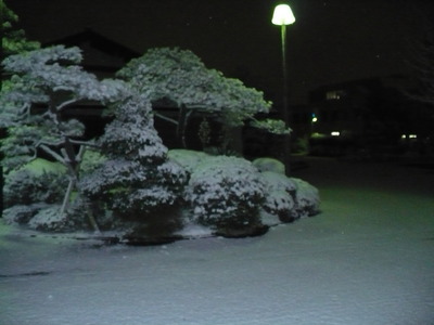 P1010453.JPG