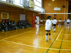 P1040470.JPG