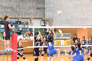 IMG_1576.JPG