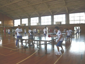 P1050119.JPG