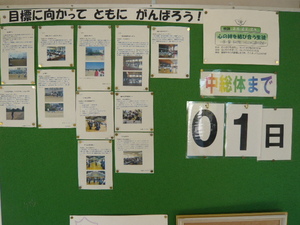 P1050261.JPG