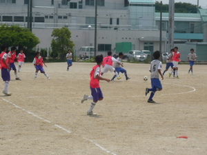 P1050411.JPG