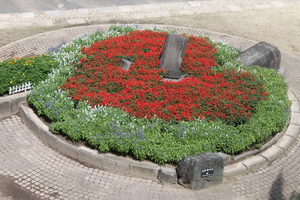 IMG_2855.JPG