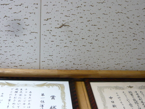 P1010940.JPG