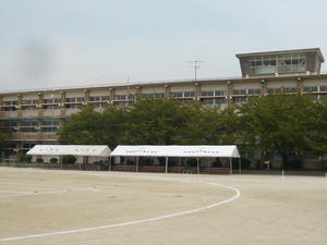 P1020187.JPG