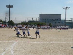 P1020267.JPG