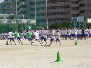 P1020268.JPG