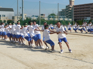 P1020271.JPG