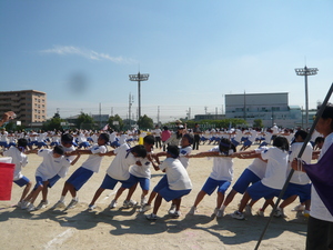 P1020273.JPG