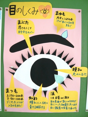 目の健康 (3).JPG