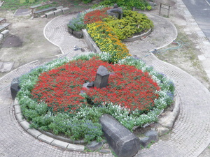 P1020345.JPG