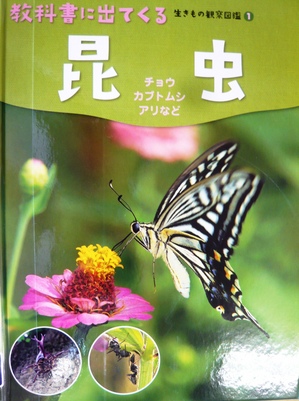 P1020425.JPG