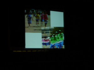 送る会 (30).JPG