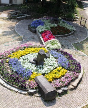IMG_3999.JPG