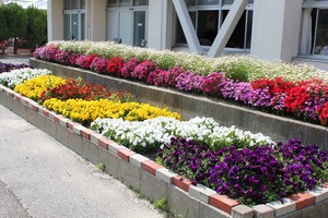 IMG_4008.JPG