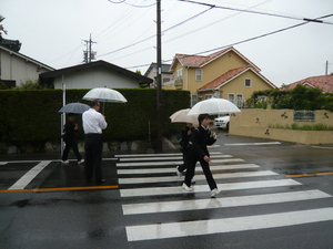 P1030732.jpg