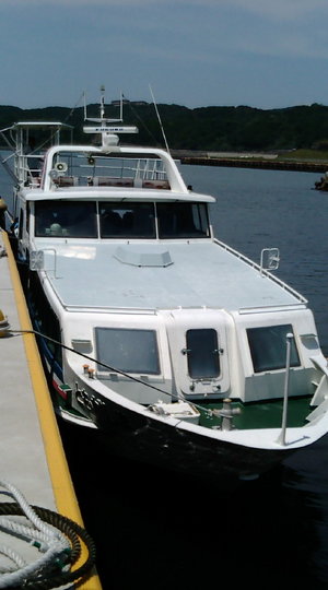 20120606130710.jpg