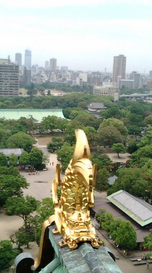 20120607115719.jpg