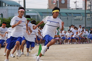 DSC05557.jpg