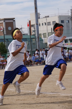 DSC05568.jpg