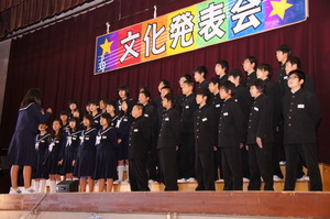DSC07447.jpg
